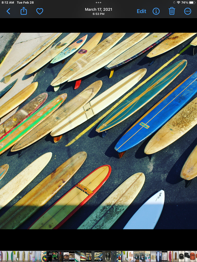 MATADOR SURF CO.